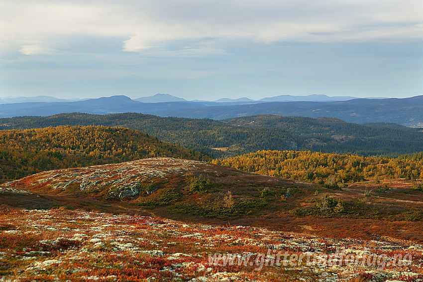 Utsikt nordover fra Makalausfjellet. I det fjerne drar man bl.a. kjensel på Skaget.