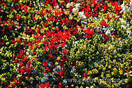 2005091901400012.jpg