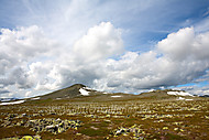 2009071700600022.jpg