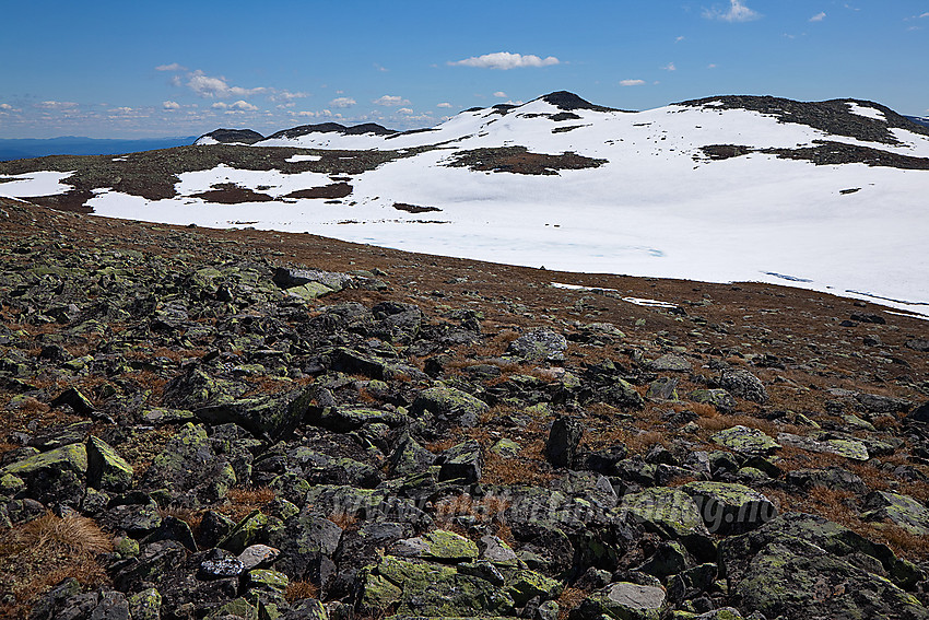 På Bergsfjellet mot de høyeste punktene. Helt til høyre i bildet er punktet merket av med 1607 moh på kartet, mens det tilsynelatende høyrere punktet noe lenger til venstre målte vi til 3 meter høyere, altså 1610 moh, på samme tur. Bergsfjellets høyeste punkt er mao. ikke merket av på kartene. I forgrunnen ses et lite islagt tjern på 1541 moh og ut til venstre for dette ligger et av de mest sugende stupene i hele Valdres !!!