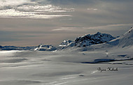 2010041010600072.jpg
