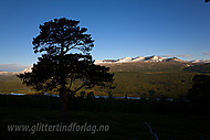 2008070101500012.jpg