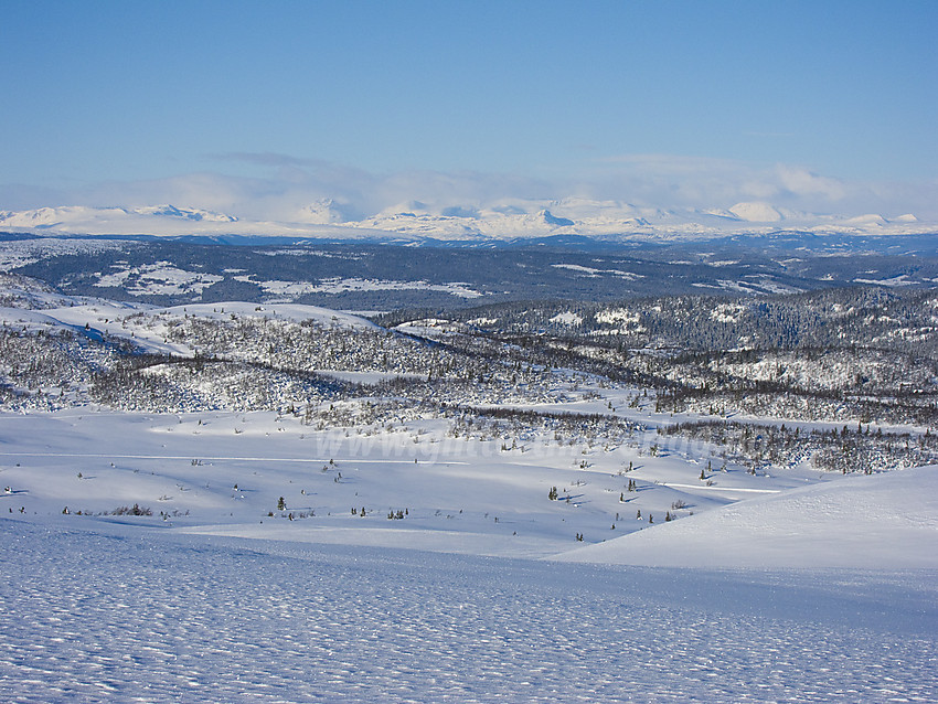 Utsikt fra Bjødalskampen mot Jotunheimen.