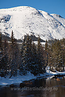 2010042200300012.jpg