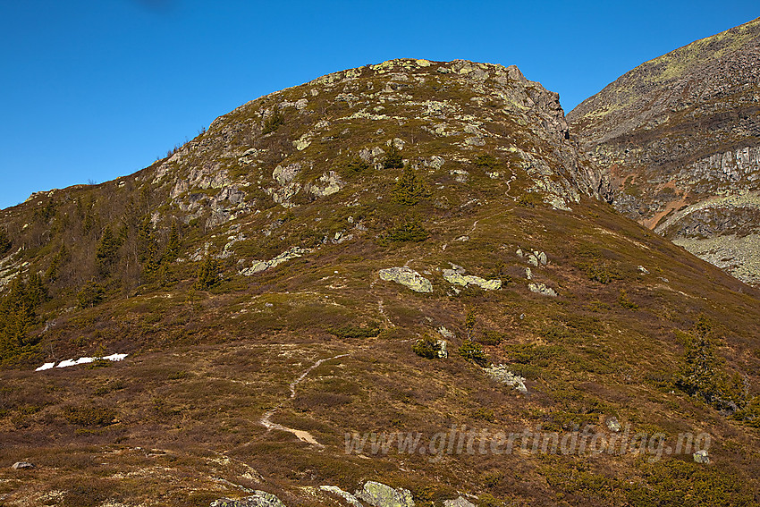 Kalvemellen (1136 moh).