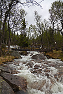 2010061310200012.jpg