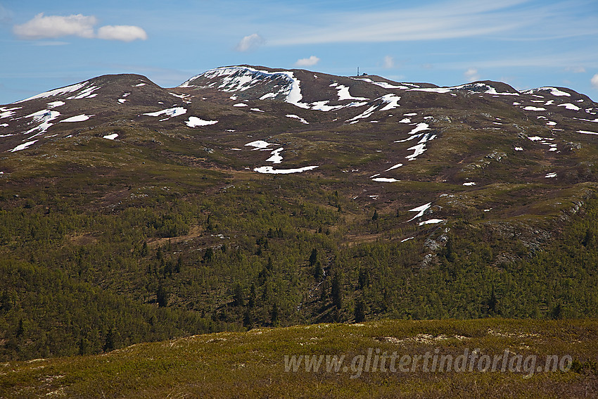 Utsikt fra Bjørnehalli mot Spåtinden (1414 moh).