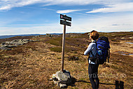 2010061613500012.jpg