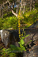 2010072340200012.jpg