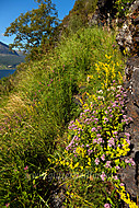 2010072340400012.jpg