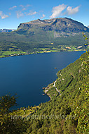 2010072340600012.jpg