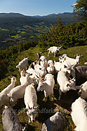 2010072341400012.jpg