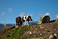 2010072341700012.jpg