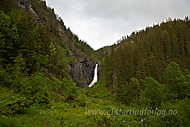2010063000100012.jpg