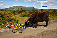 2010070920400012.jpg