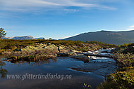 2010062921400012.jpg