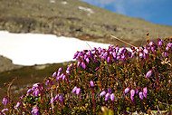 2010062923600012.jpg
