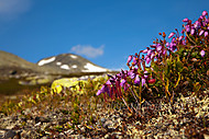 2010062923700012.jpg