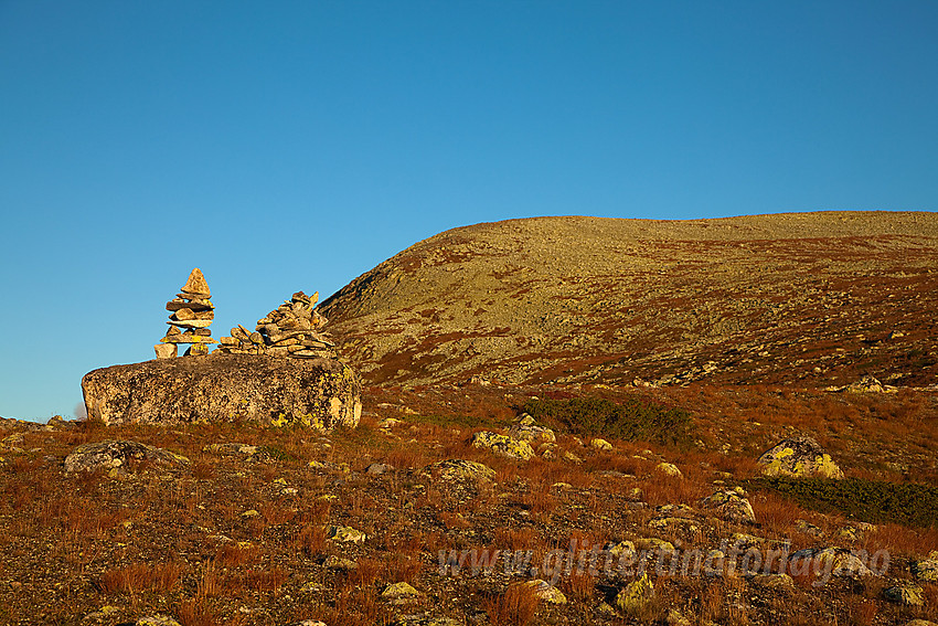 Markert varde på Bukonefjellet med Gråkampen (1595 moh) bakenfor.