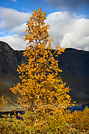 2010092164500012.jpg