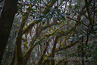 2011032810200012.jpg