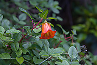 2011032811700012.jpg