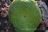2011032812500012.jpg