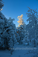 2010122102600012.jpg