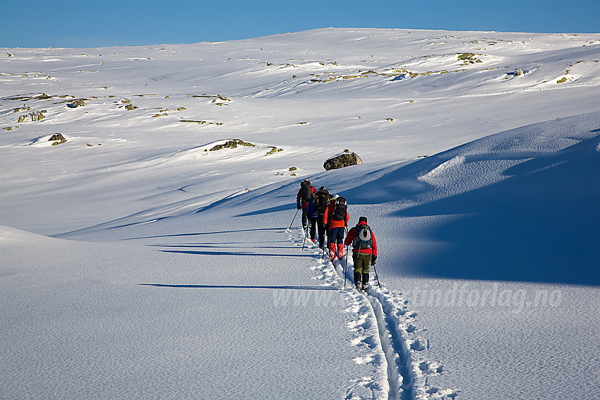 Fellestur med DNT Valdres på tur fra Ørneflag over mot Storrustefjellet i Vassfaret.