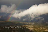 2011061500800012.jpg