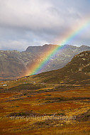 2011091410600012.jpg