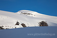 2012042502300012.jpg