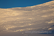 2012010890900012.jpg
