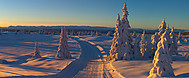 2012122000700012.jpg