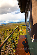 2012060654000012.jpg
