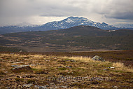 2012061554100012.jpg
