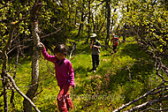 2012070173100012.jpg