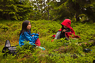 2012070173400012.jpg
