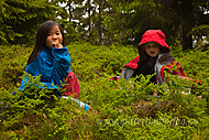 2012070173500012.jpg