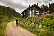 2012070475400012.jpg
