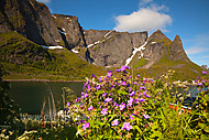 2012070975400012.jpg
