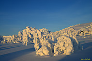 2016010604400072.jpg