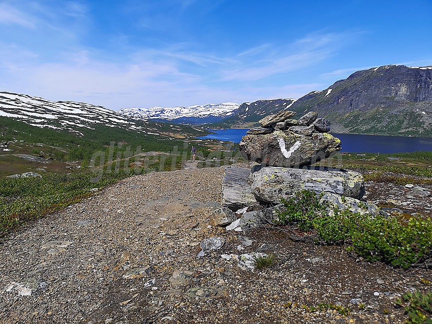 Ved stien fra Otrøvatnet mot Børrenøse.